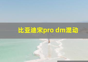 比亚迪宋pro dm混动